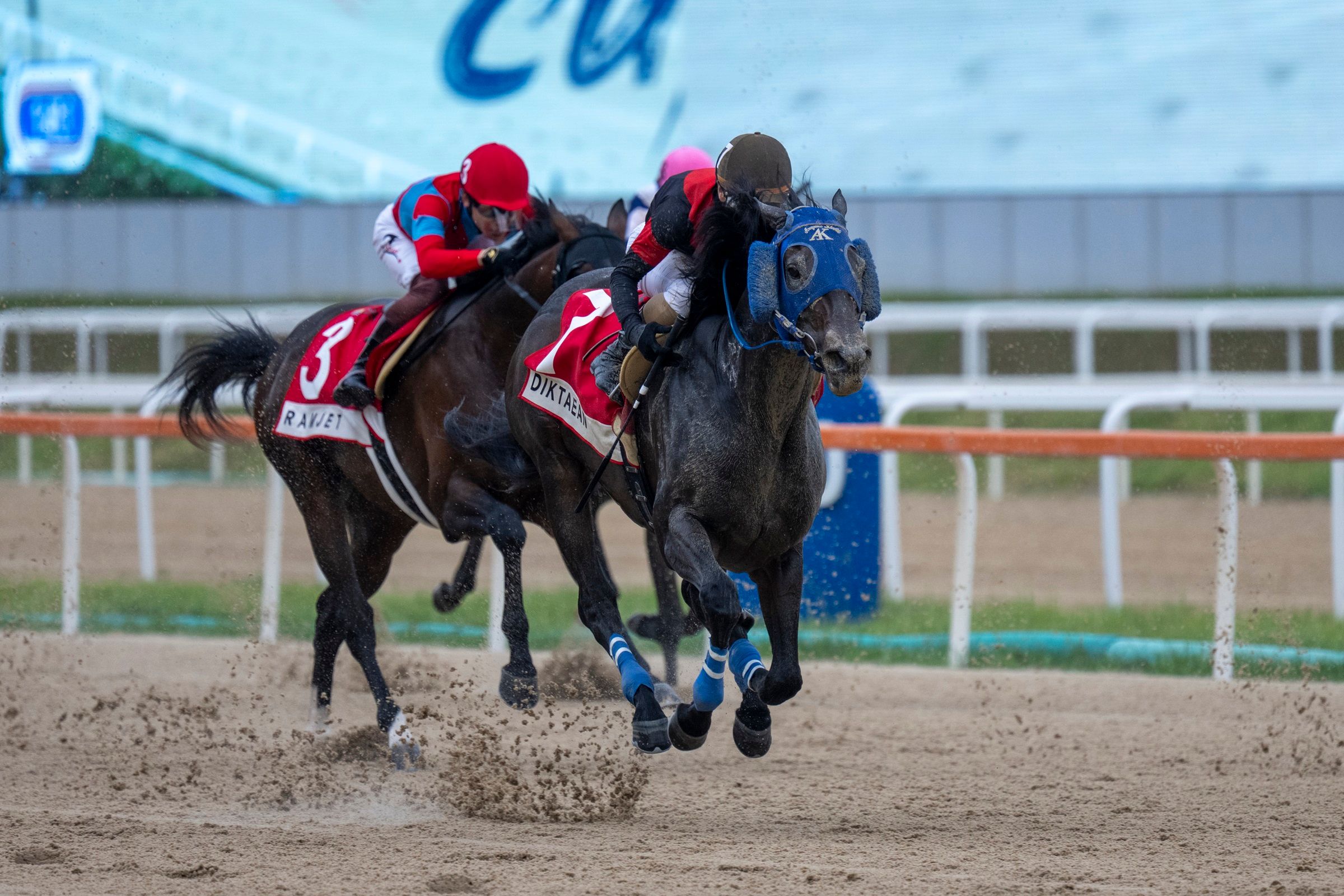 Diktaean swooped late to score his biggest win in the Korea Cup (G3)
