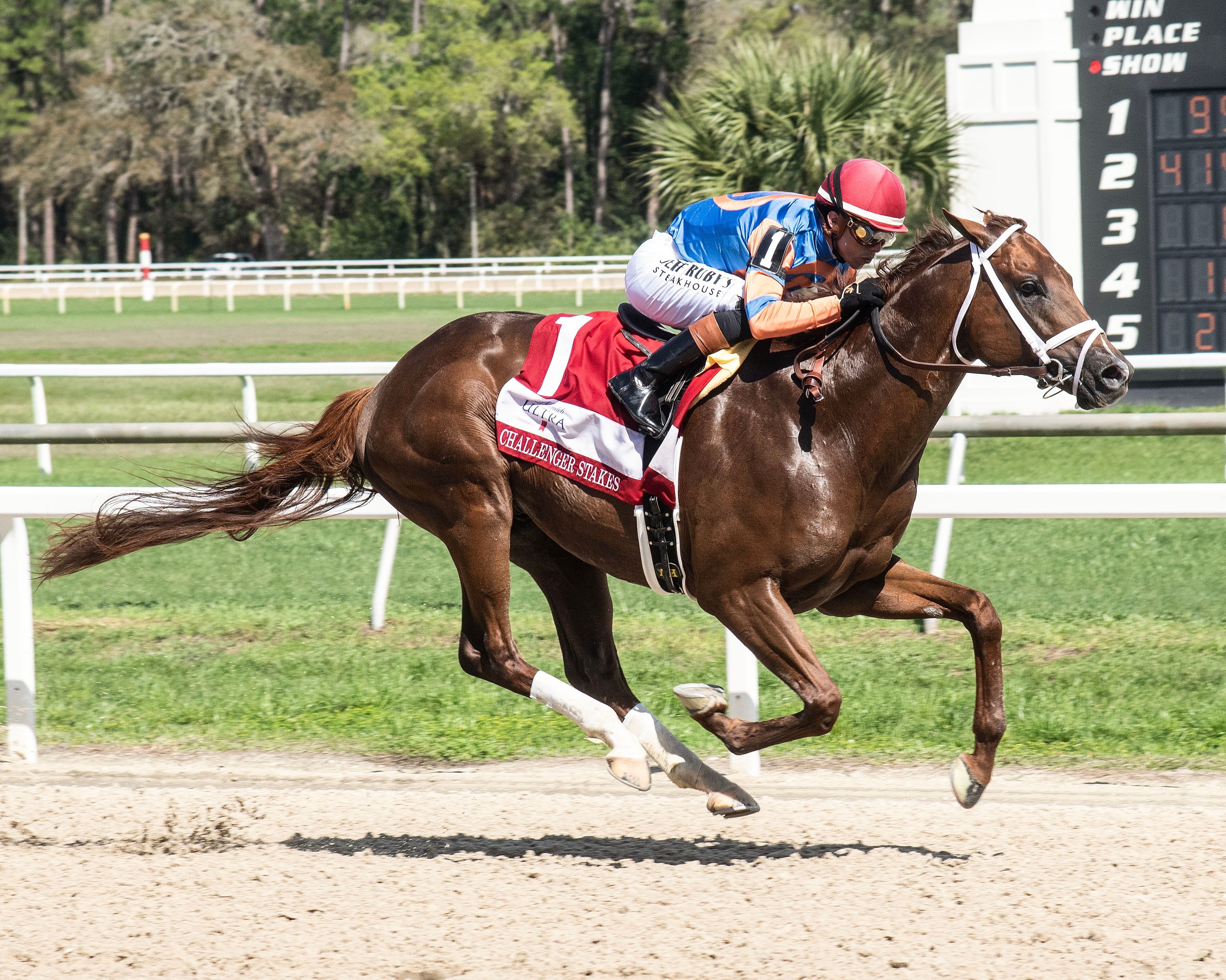 Disruptor wins the Challenger (G3) at Tampa Bay Downs