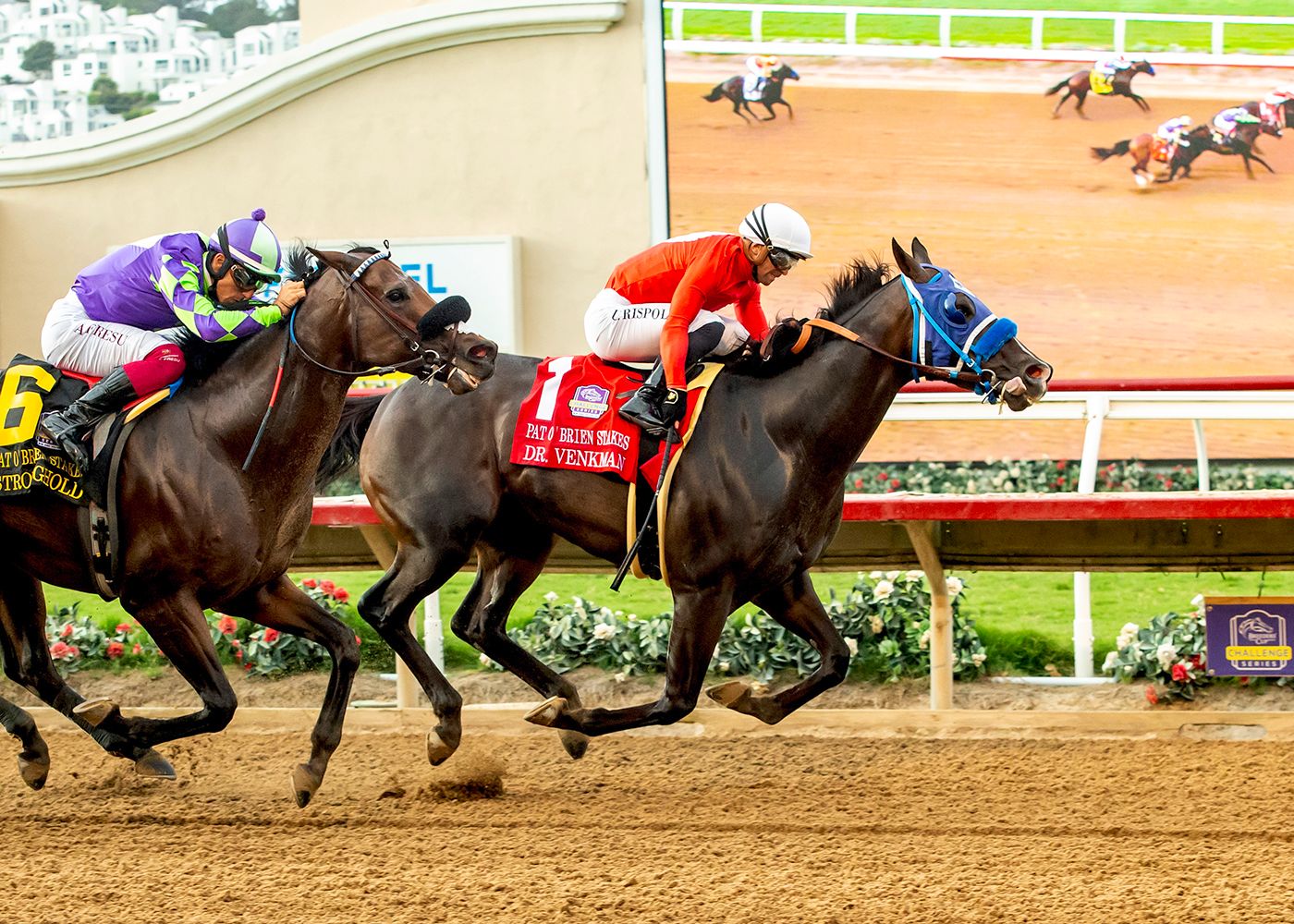 Dr. Venkman beats Stronghold in the Pat O'Brien (G2)