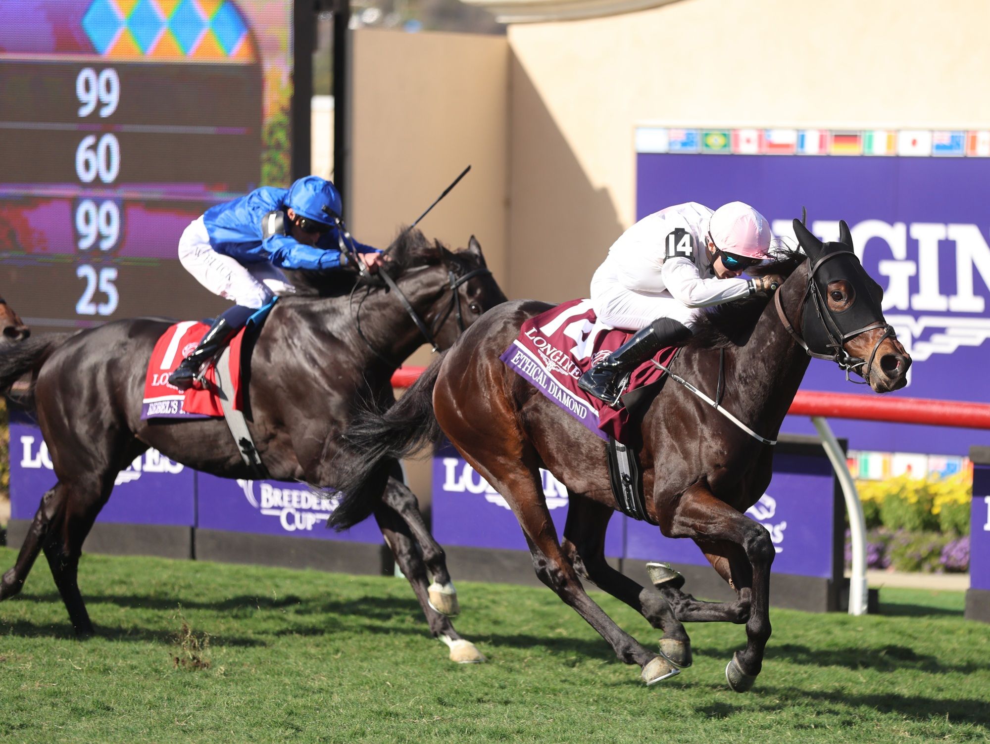 Ethical Diamond winning the Breeders' Cup Turf (G1) at Del Mar