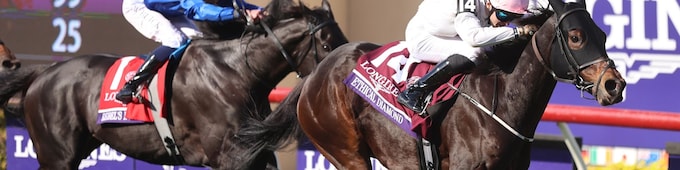 Ethical Diamond jumps up in $57.40 Turf surprise