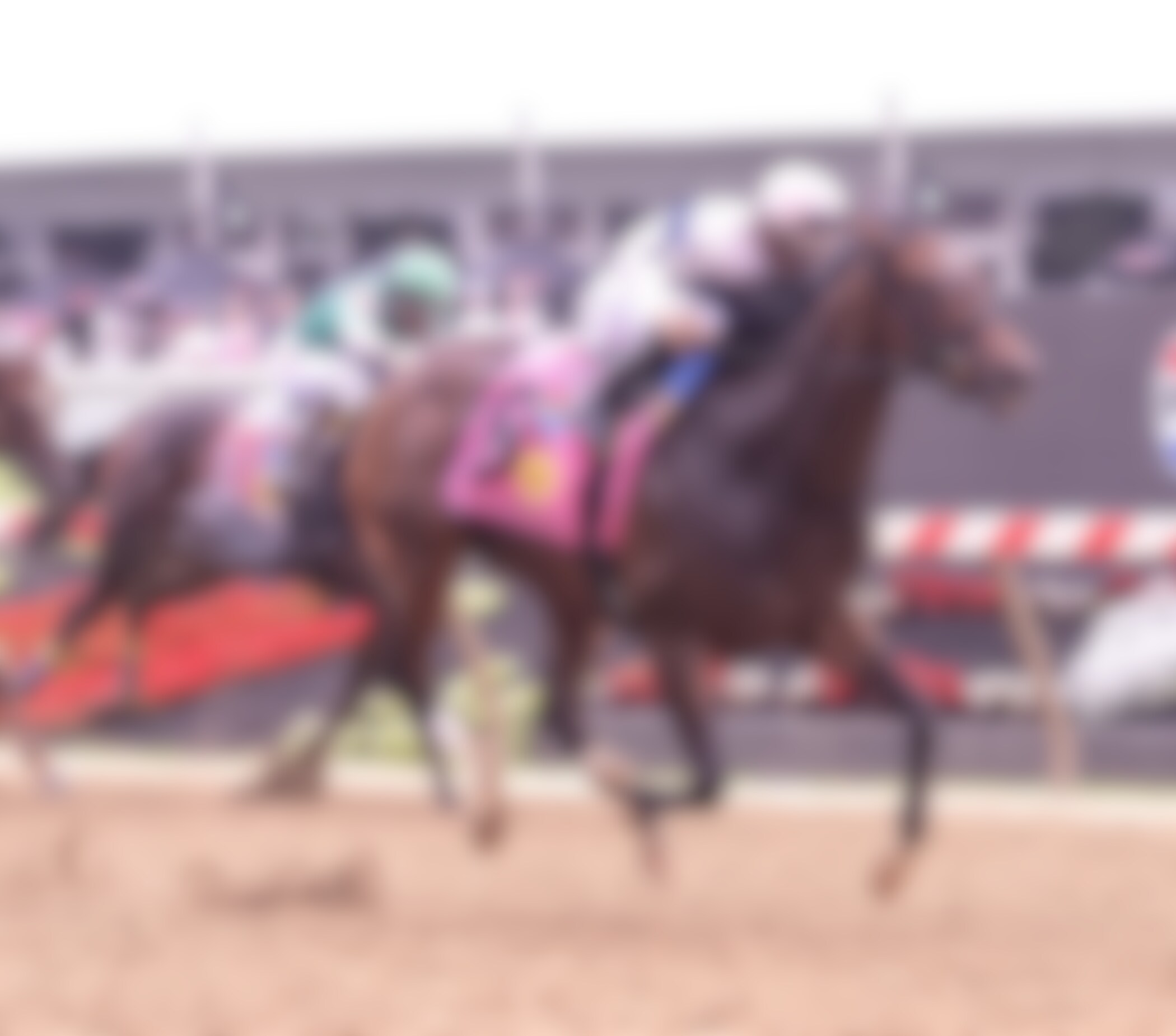 Echo Sound returned a winner in the Miss Preakness
