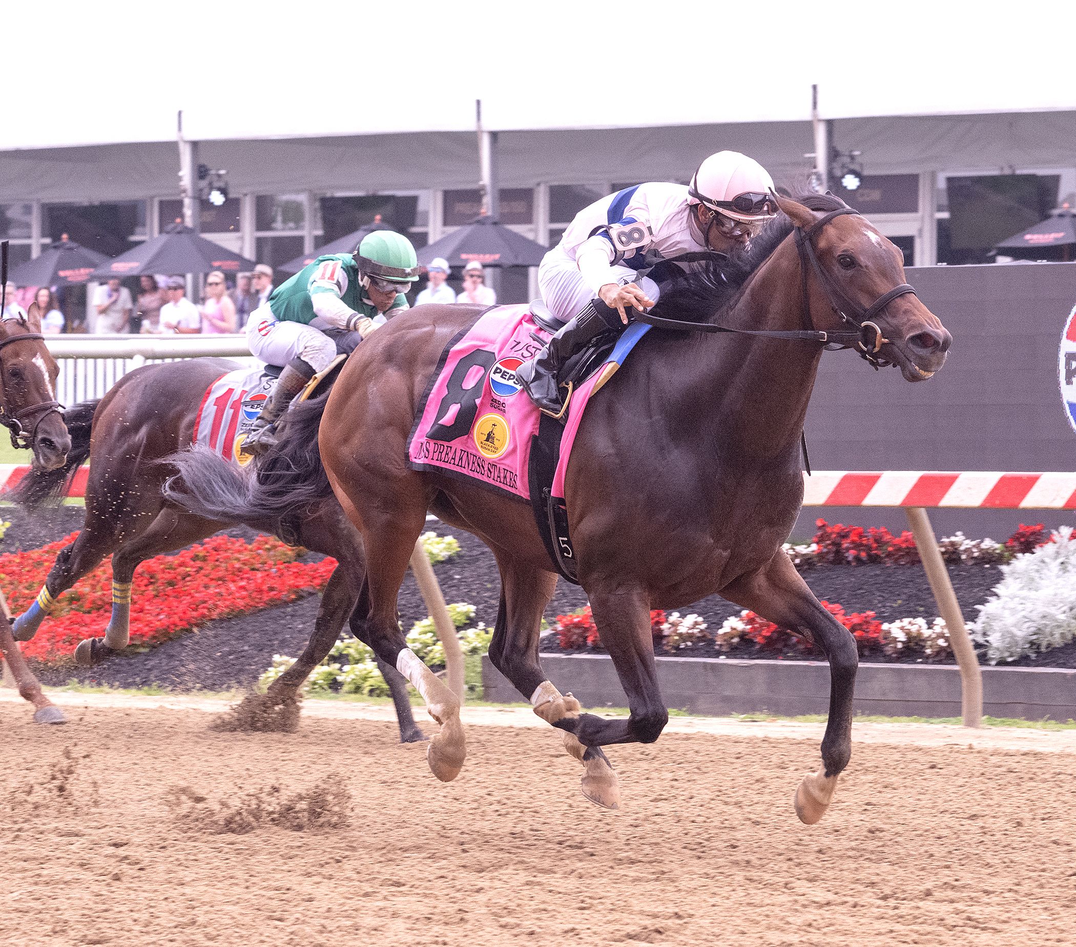Echo Sound returned a winner in the Miss Preakness