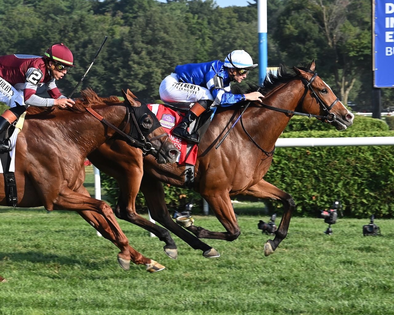 El Cordobes back for Joe Hirsch Turf Classic
