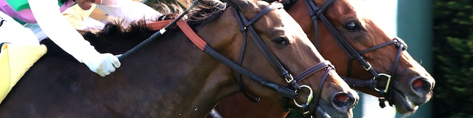 Expensive Queen, Segesta inseparable in Jenny Wiley dead-heat