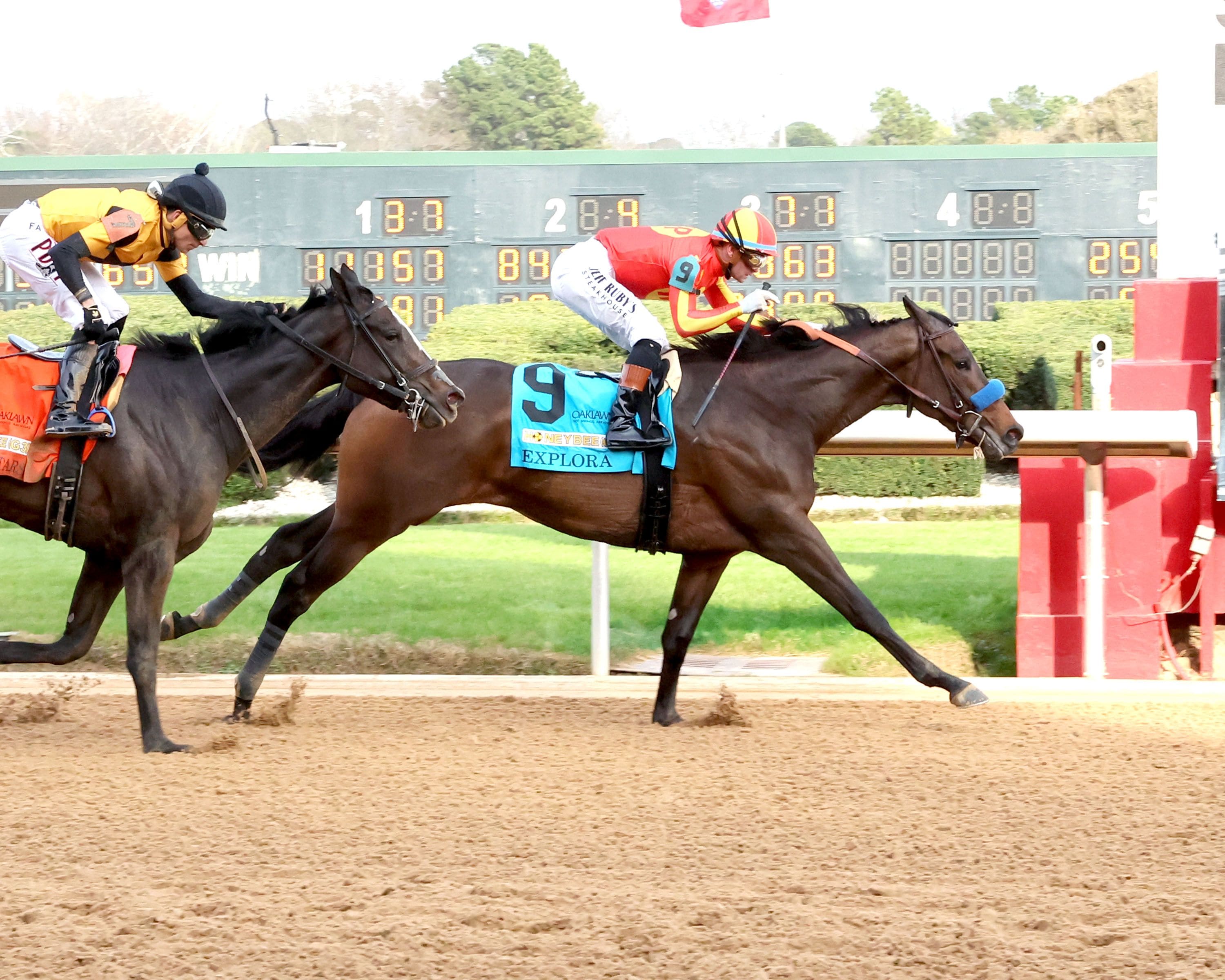 Scratch of Explora leaves Fantasy with five-horse field