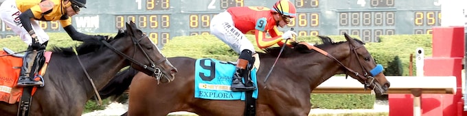 Explora meets familiar foes in Fantasy