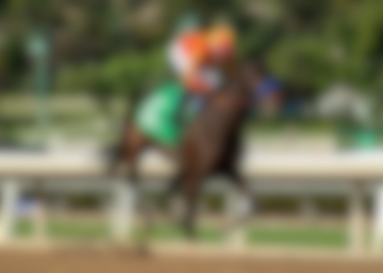 Explora wins the Santa Ynez at Santa Anita.