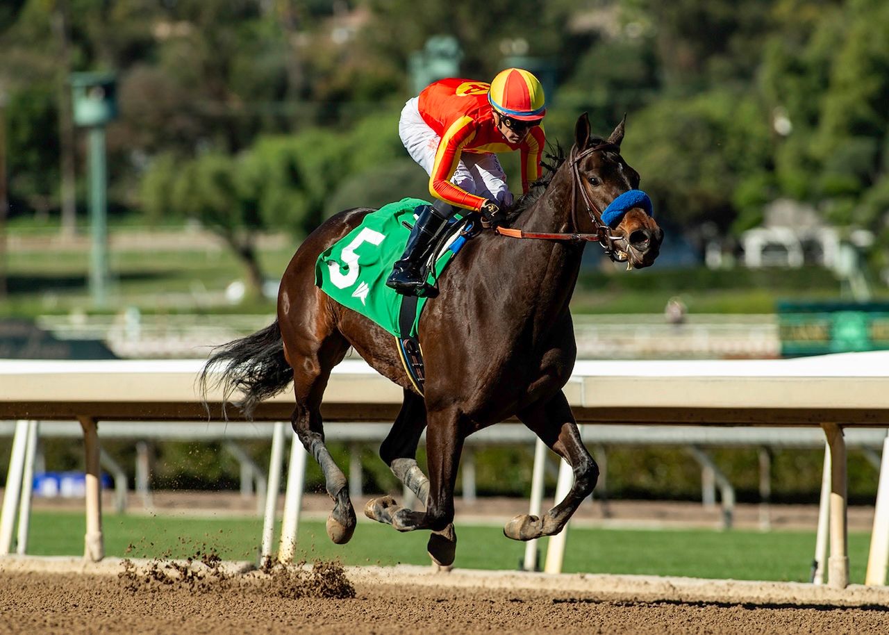 Explora wins the Santa Ynez at Santa Anita.