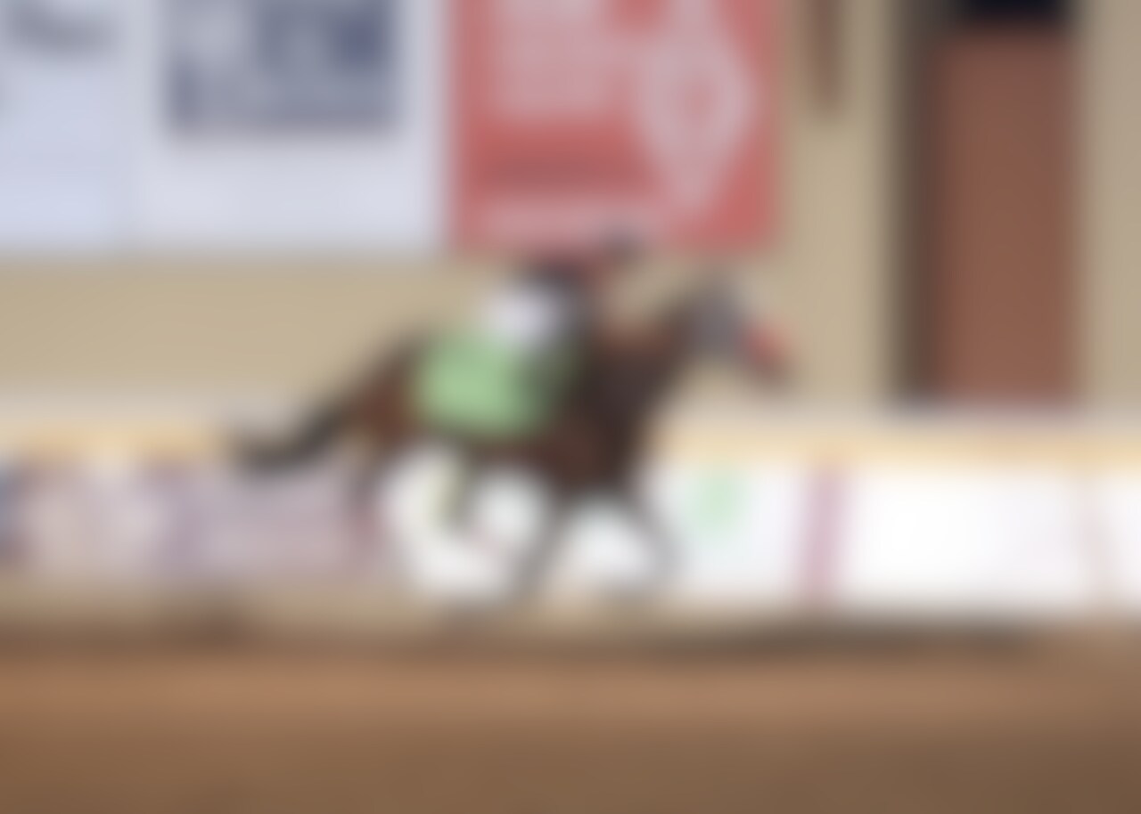 Express Kid dominated the Remington Springboard Mile