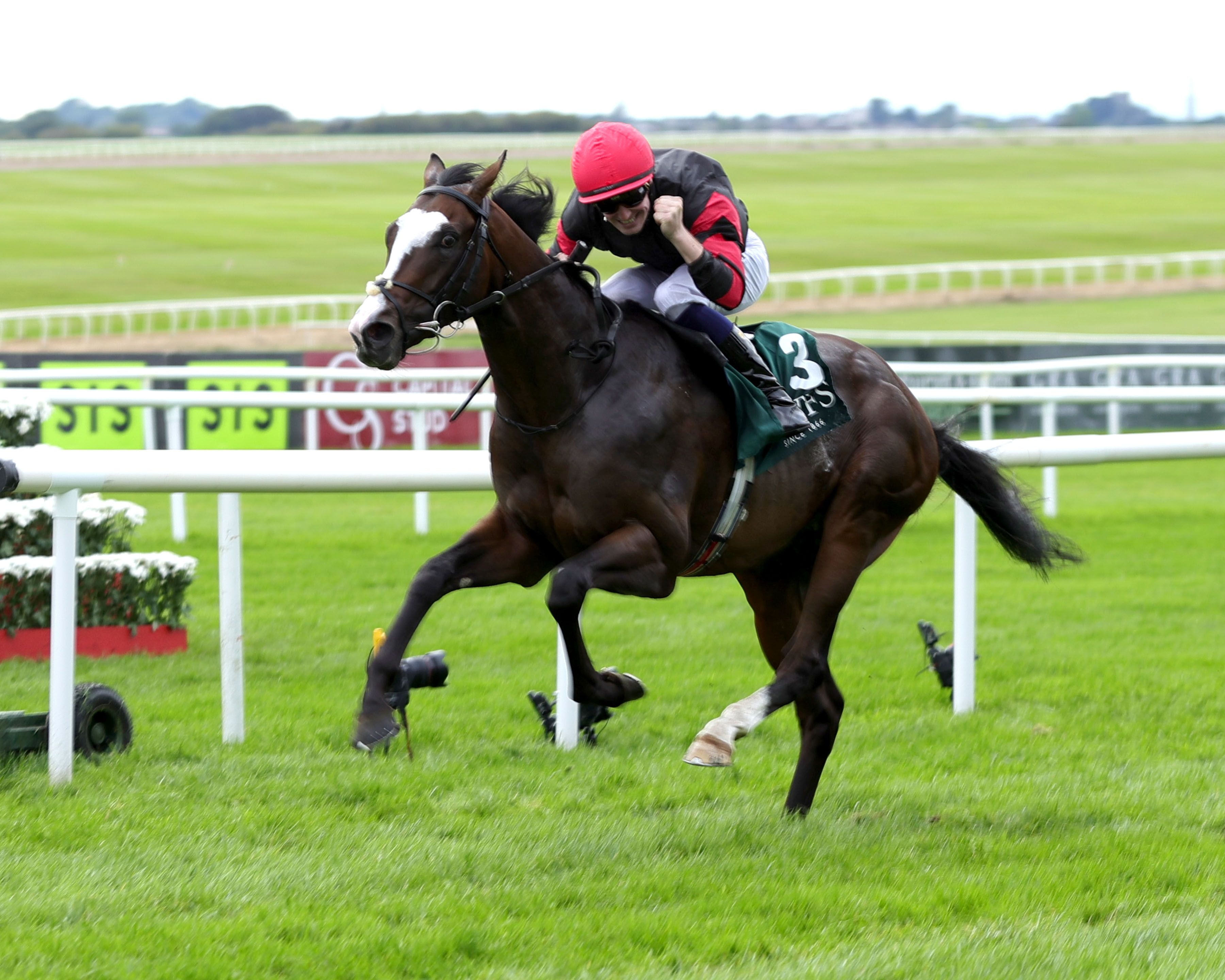 Folsom Blues dominated the Vincent O'Brien National (G1)