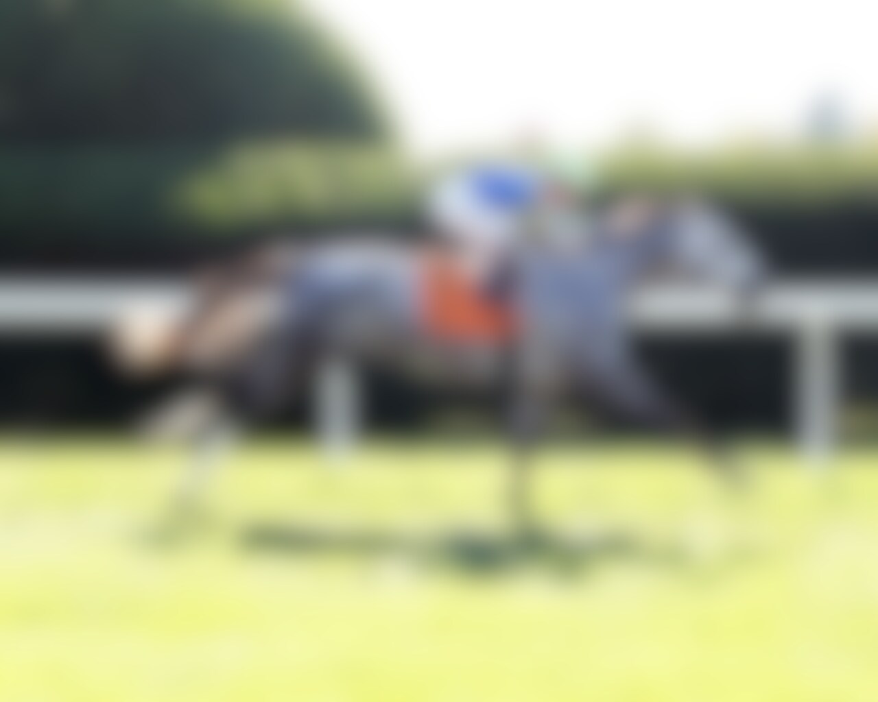 Fulleffort wins at Keeneland. 