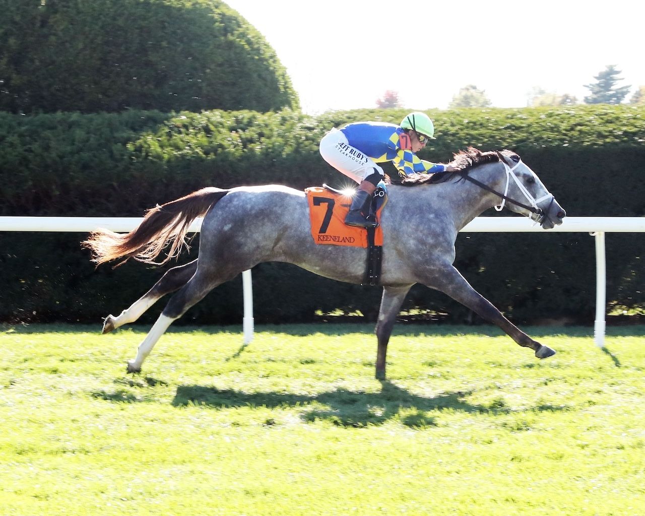 Fulleffort wins at Keeneland.