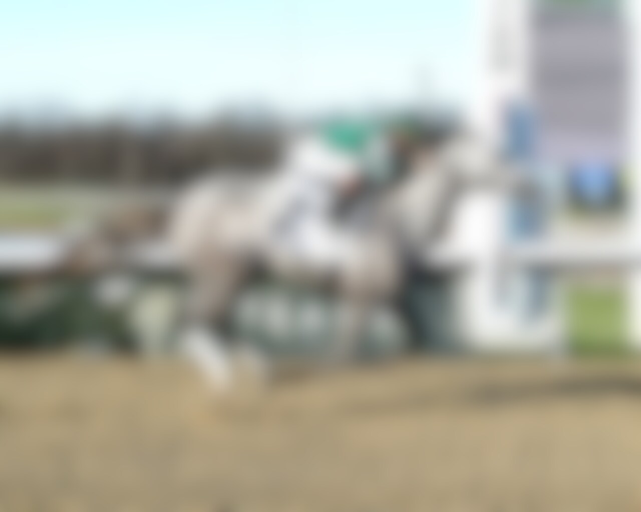 Fulleffort wins the Jeff Ruby Stakes at Turfway Park.