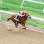 Derby favorite Further Ado back for Matt Winn