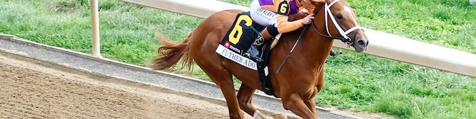 Derby favorite Further Ado back for Matt Winn