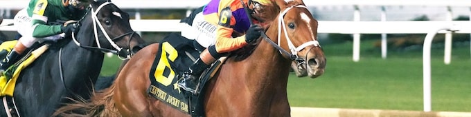 Further Ado to face eight in Tampa Bay Derby