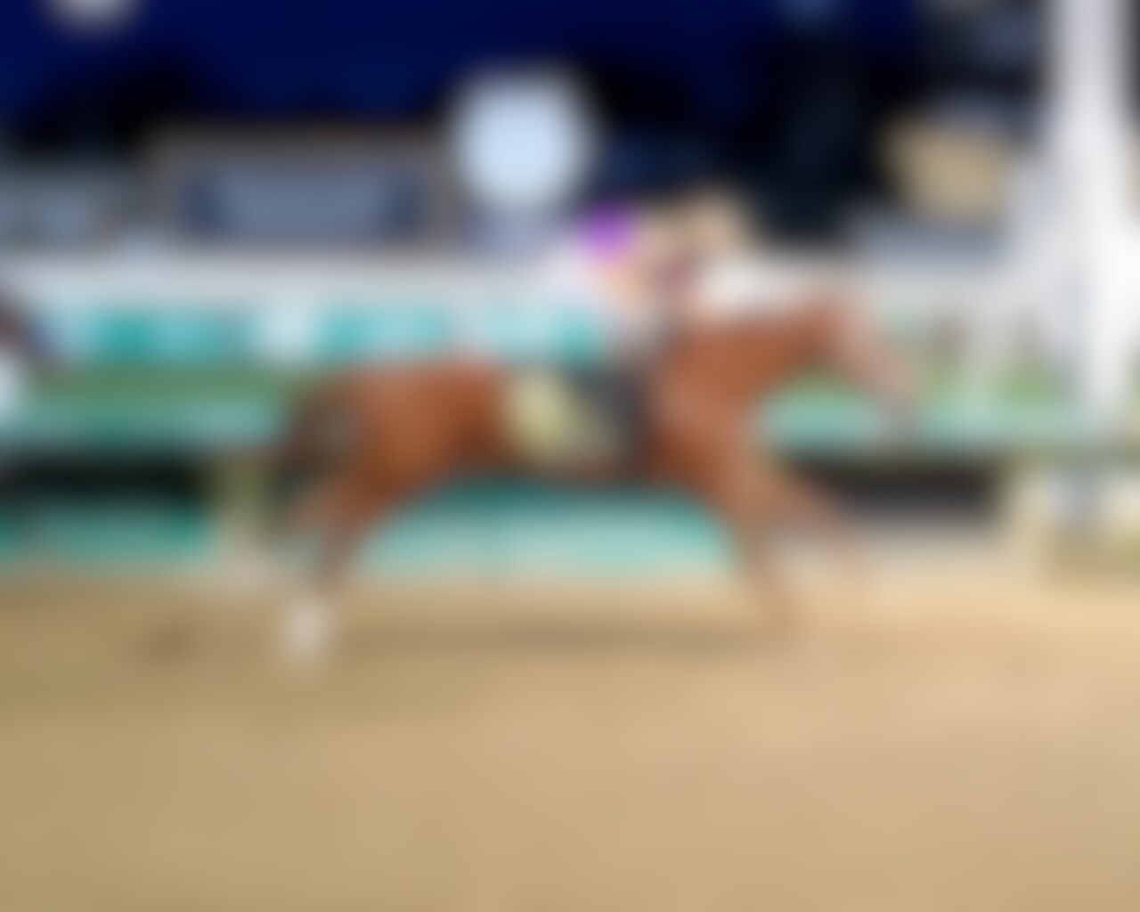 Further Ado wins the Kentucky Jockey Club (G2) at Churchill Downs. 