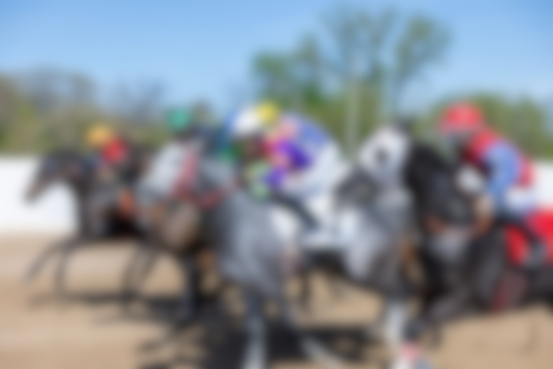 Horses race at historic Fairmount Park