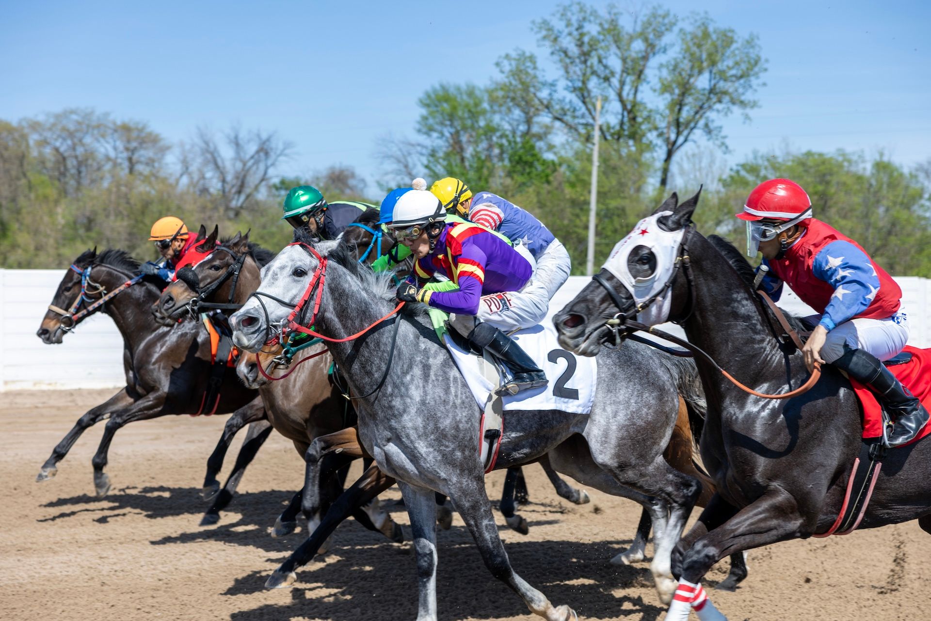 Horses race at historic Fairmount Park