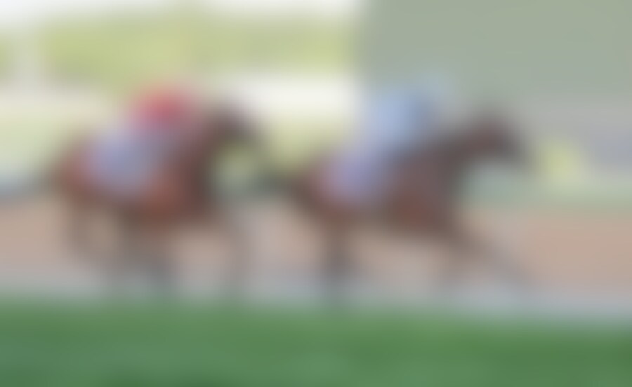 Fairy Glen became the first female to win the Dubai Gold Cup (G2)