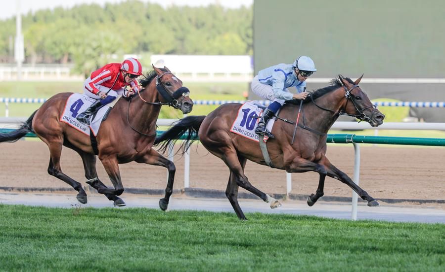 Fairy Glen became the first female to win the Dubai Gold Cup (G2)