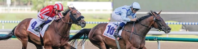 Fairy Glen upstages males in Dubai Gold Cup
