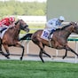Fairy Glen upstages males in Dubai Gold Cup