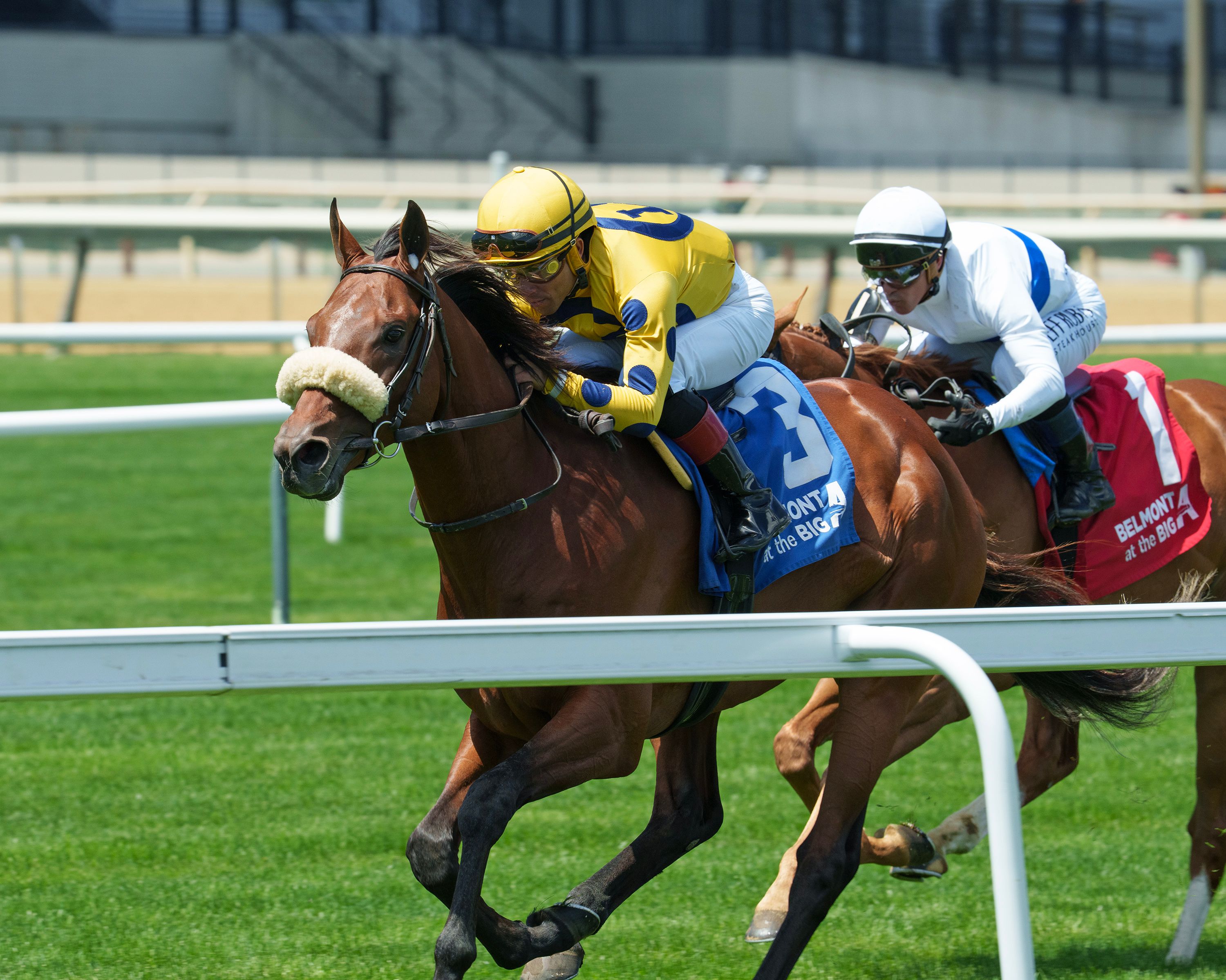 Far Bridge wins the Man o' War
