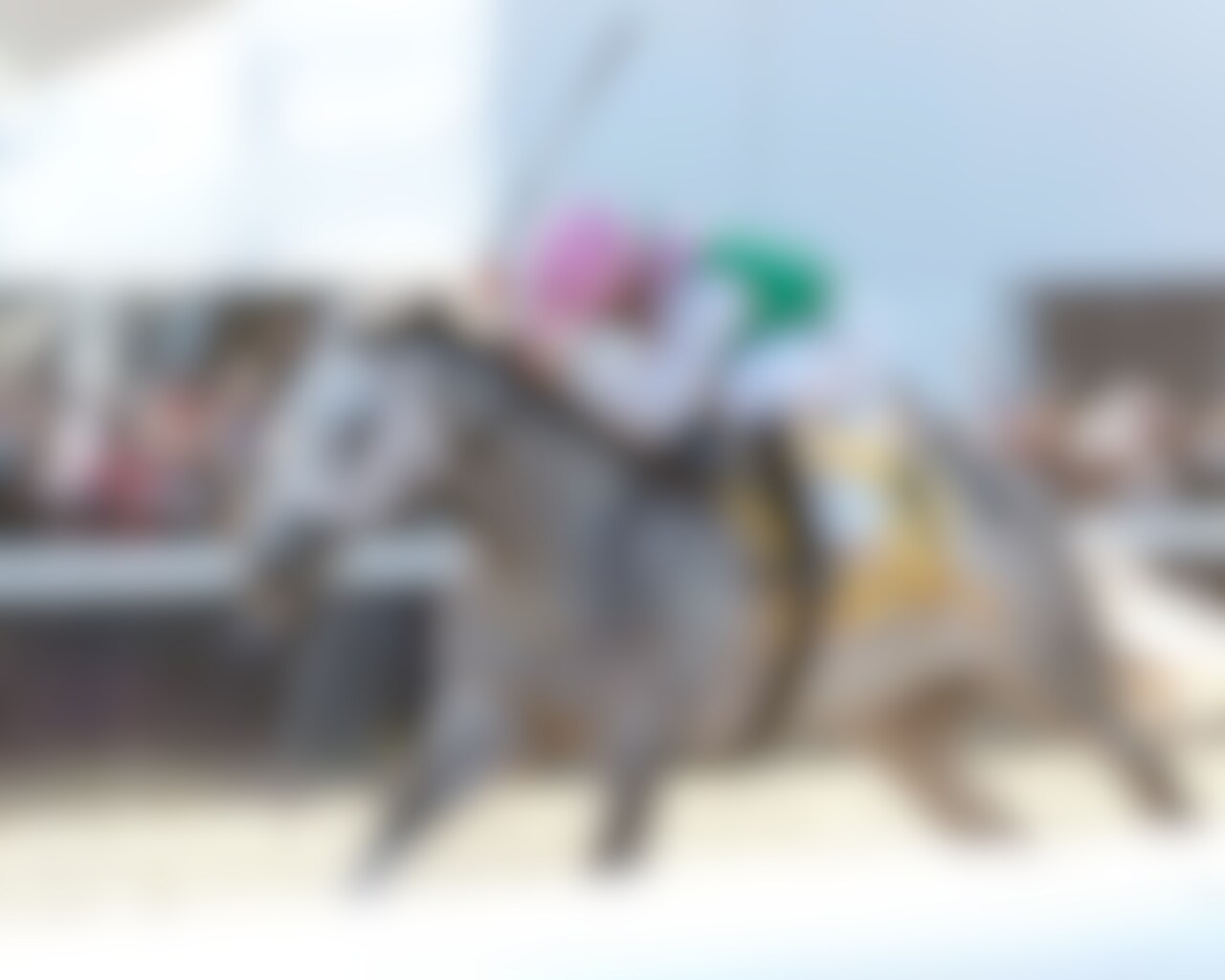 Final Gambit wins the Jeff Ruby Steaks at Turfway Park. 