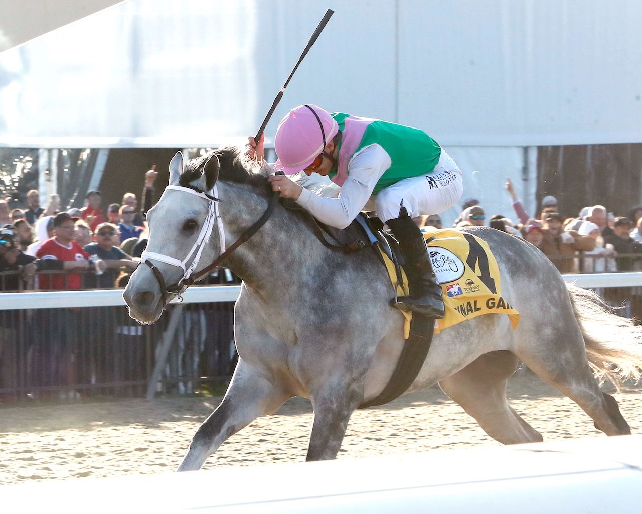 Final Gambit wins the Jeff Ruby Steaks at Turfway Park.