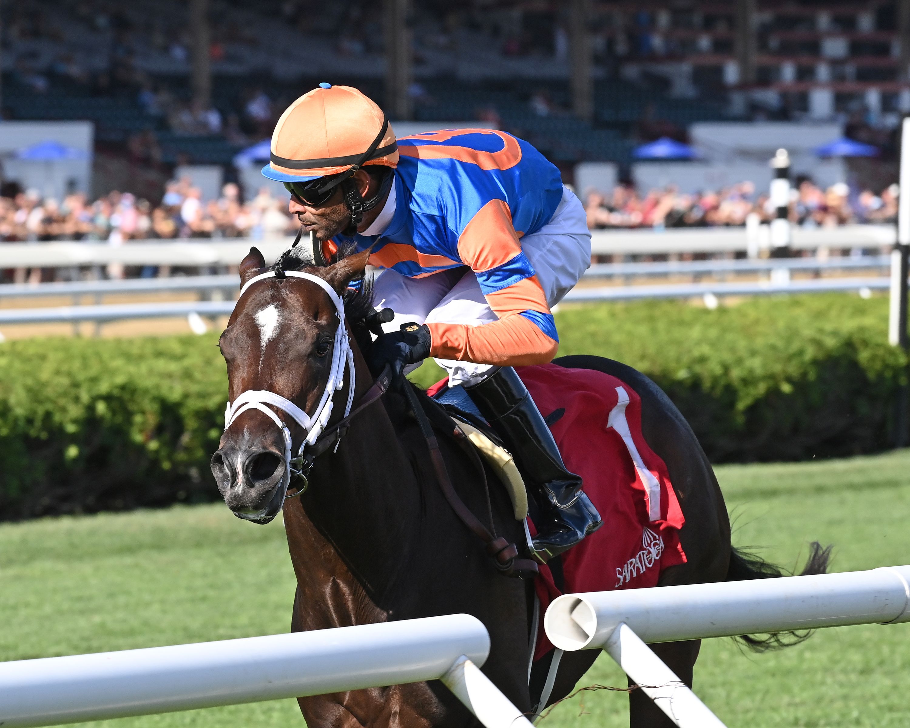 Final Score wired the With Anticipation (G3)