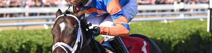 Final Score goes all the way in With Anticipation