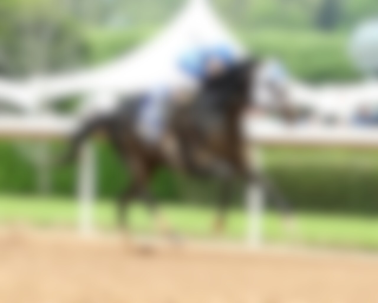 First Mission wins the Oaklawn Handicap at Oaklawn Park. 