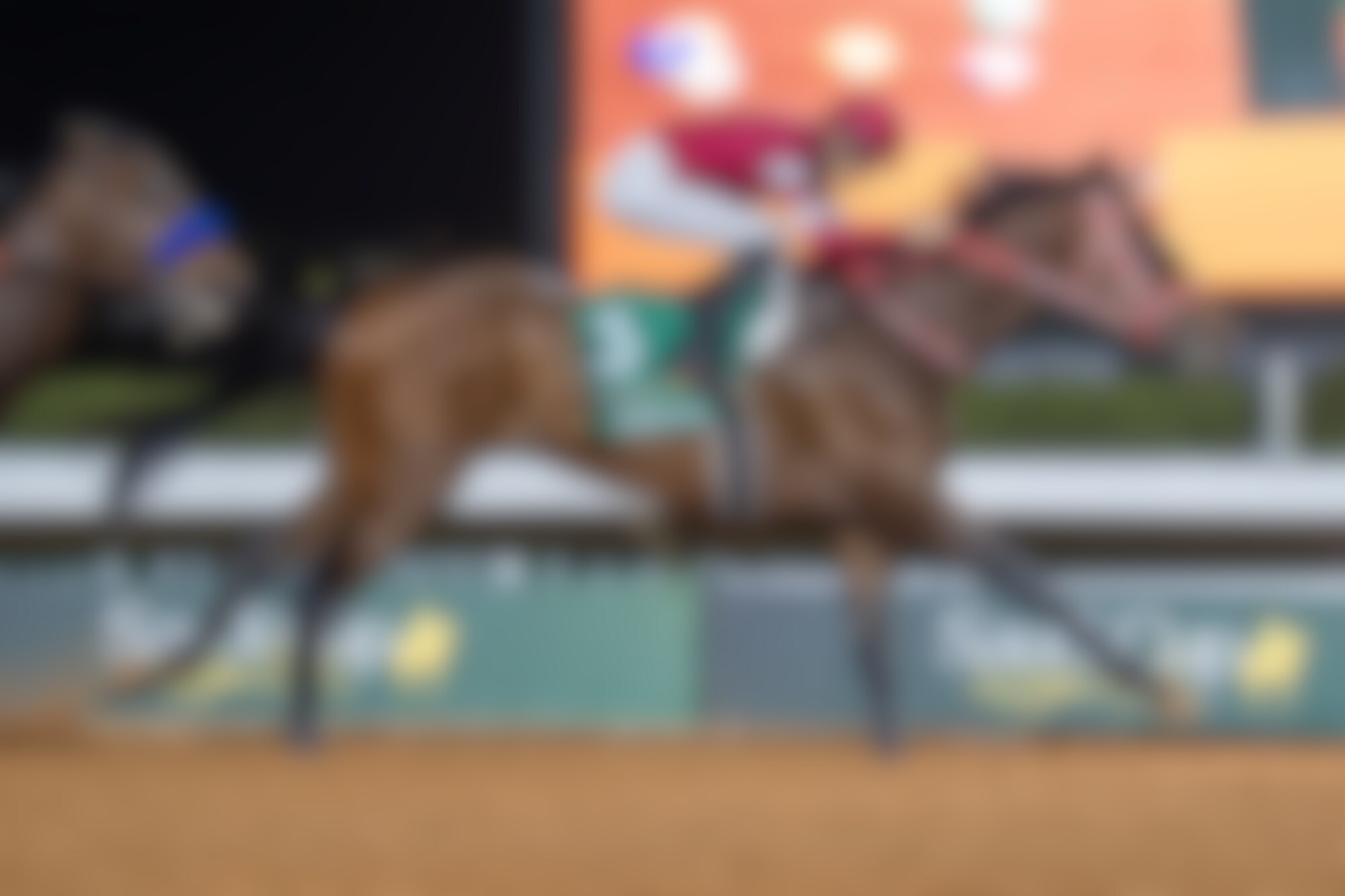 Forever Young becomes the first two-time Saudi Cup (G1) winner