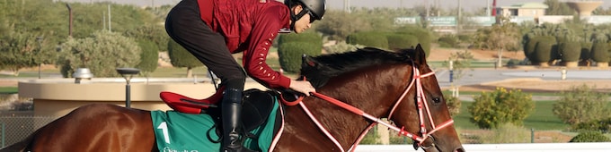 Forever Young seeks more riches, history in Saudi Cup title defense