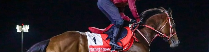 Forever Young among hot favorites on Dubai World Cup card