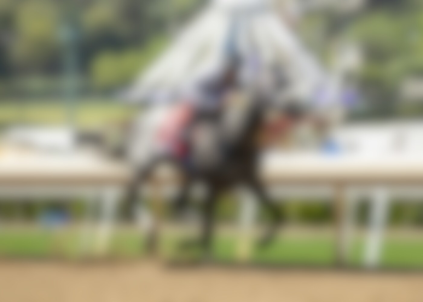Forged Steel wired the Hollywood Gold Cup by a stakes-record 9 1/2 lengths