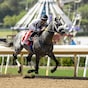 Forged Steel routs Hollywood Gold Cup; Formidable Man, Thought Process star on turf