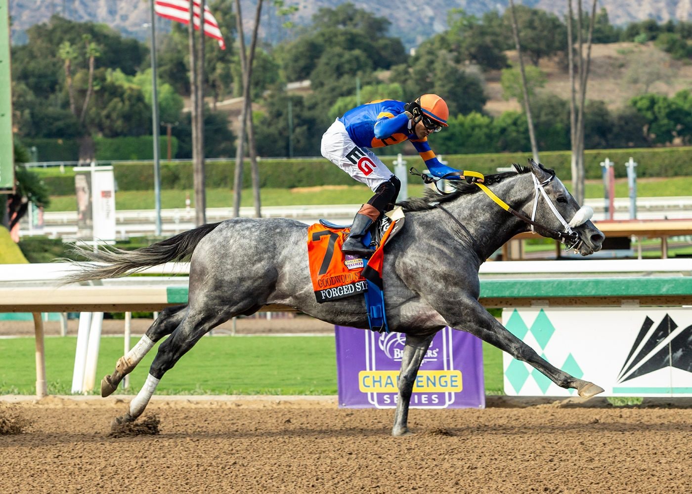 Forged Steel wins the Goodwood at Santa Anita