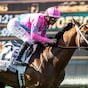 Formidable Man tunes up for Breeders' Cup in Mint Millions