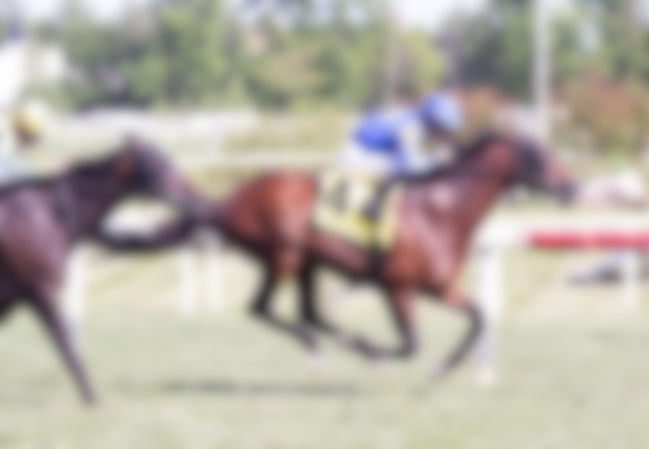 Fort Washington wins the Dinner Party at Laurel