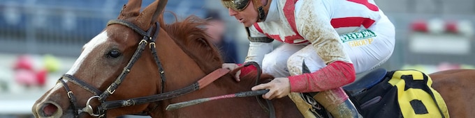 Fully Subscribed, Disco Time shine in Big A stakes