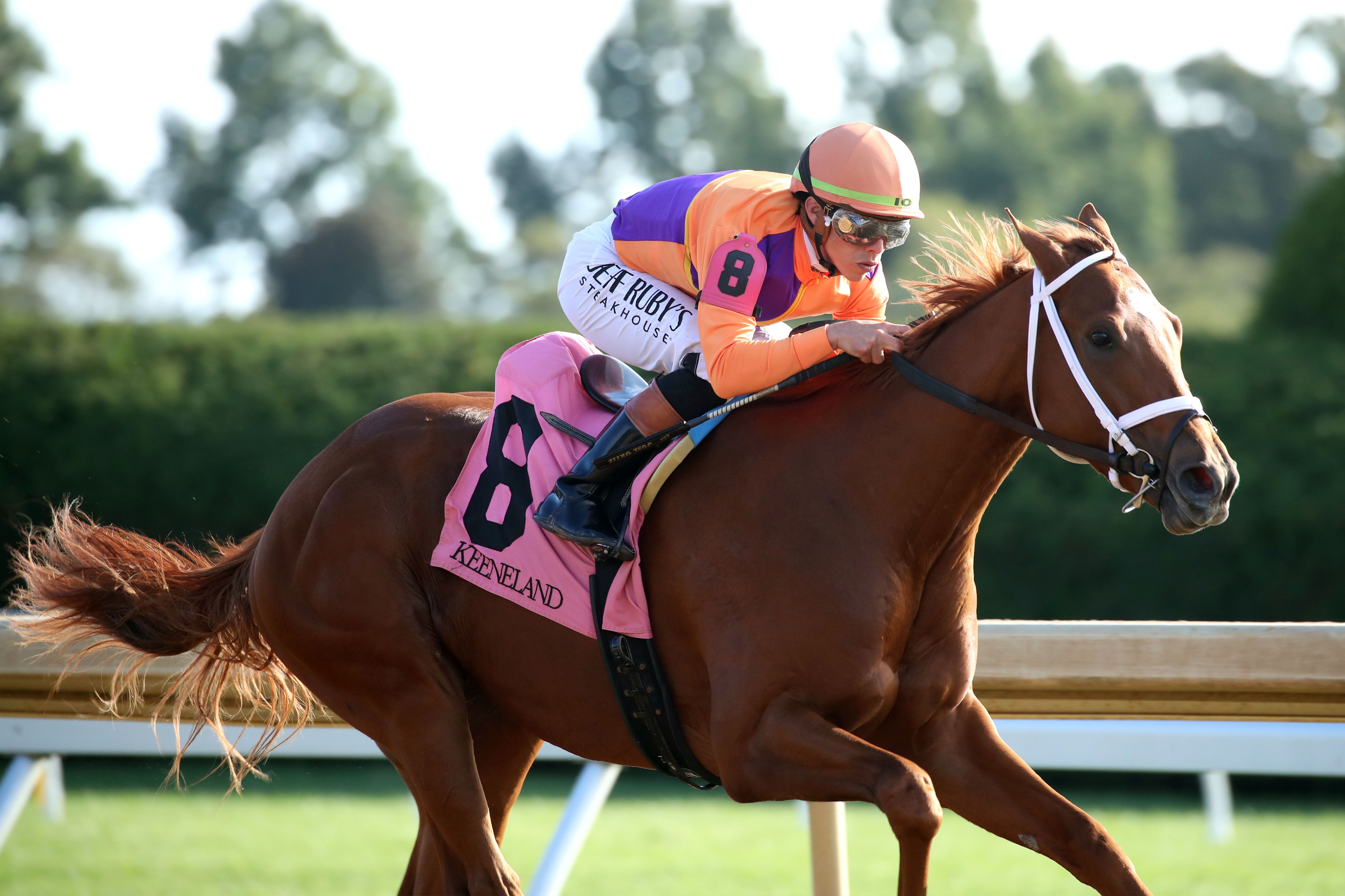 Further Ado broke his maiden by 20 lengths at Keeneland