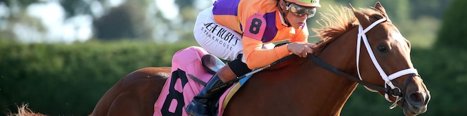 Further Ado heads KJC, Explora drawn wide in Golden Rod