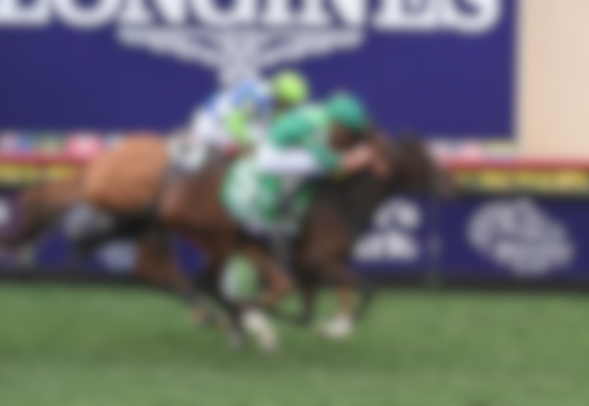 Gezora winning the Breeders' Cup Filly & Mare Turf (G1) at Del Mar