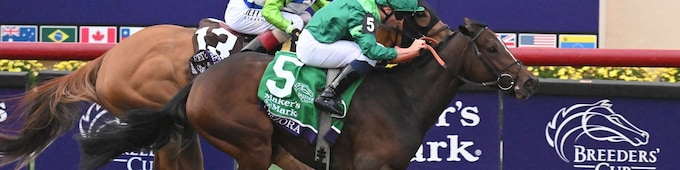 Gezora reels in She Feels Pretty in Breeders’ Cup Filly & Mare Turf