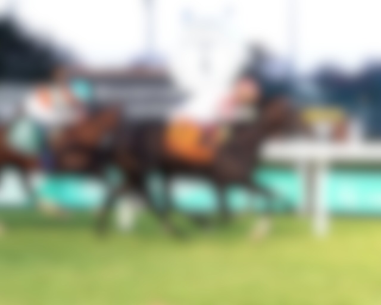 Giocoso wins the Commonwealth Turf at Churchill Down. 