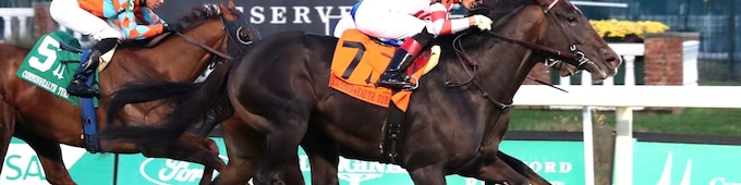 Giocoso rallies for Commonwealth Turf