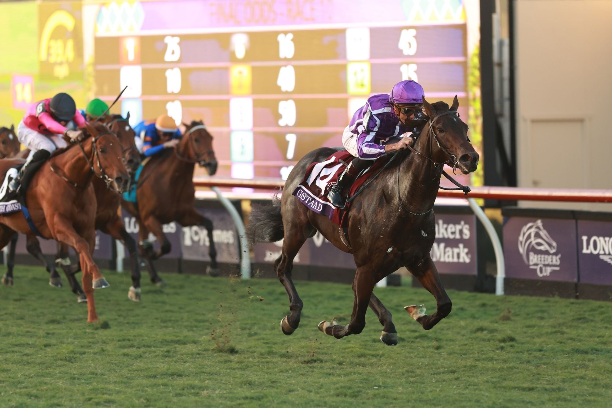 Gstaad overcomes post 14, propels O’Brien to Breeders’ Cup record in Juvenile Turf
